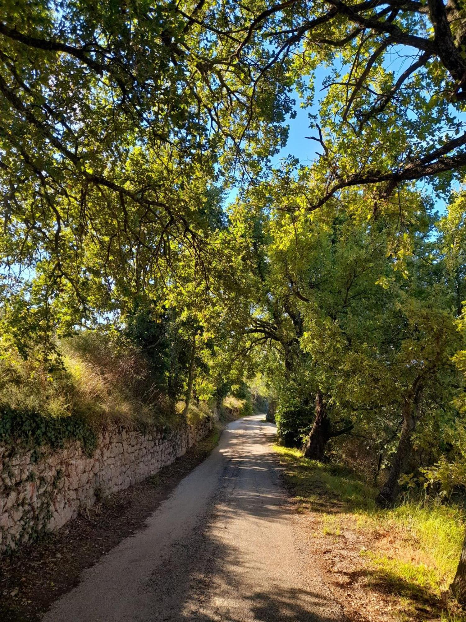 B&B Il Sentiero Di אסיסי מראה חיצוני תמונה