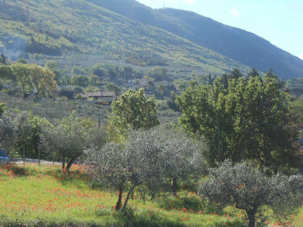 B&B Il Sentiero Di אסיסי מראה חיצוני תמונה