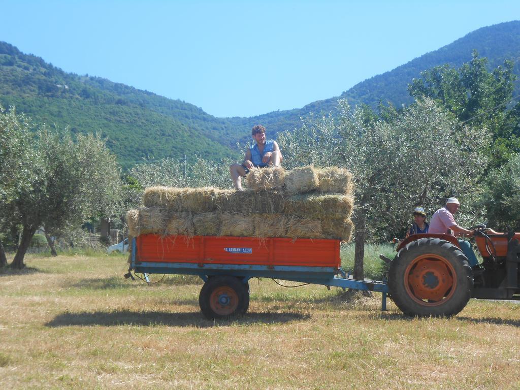 B&B Il Sentiero Di אסיסי מראה חיצוני תמונה