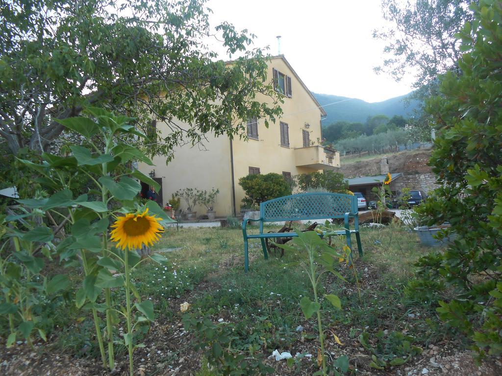B&B Il Sentiero Di אסיסי מראה חיצוני תמונה
